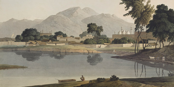 Vision & Landscape
